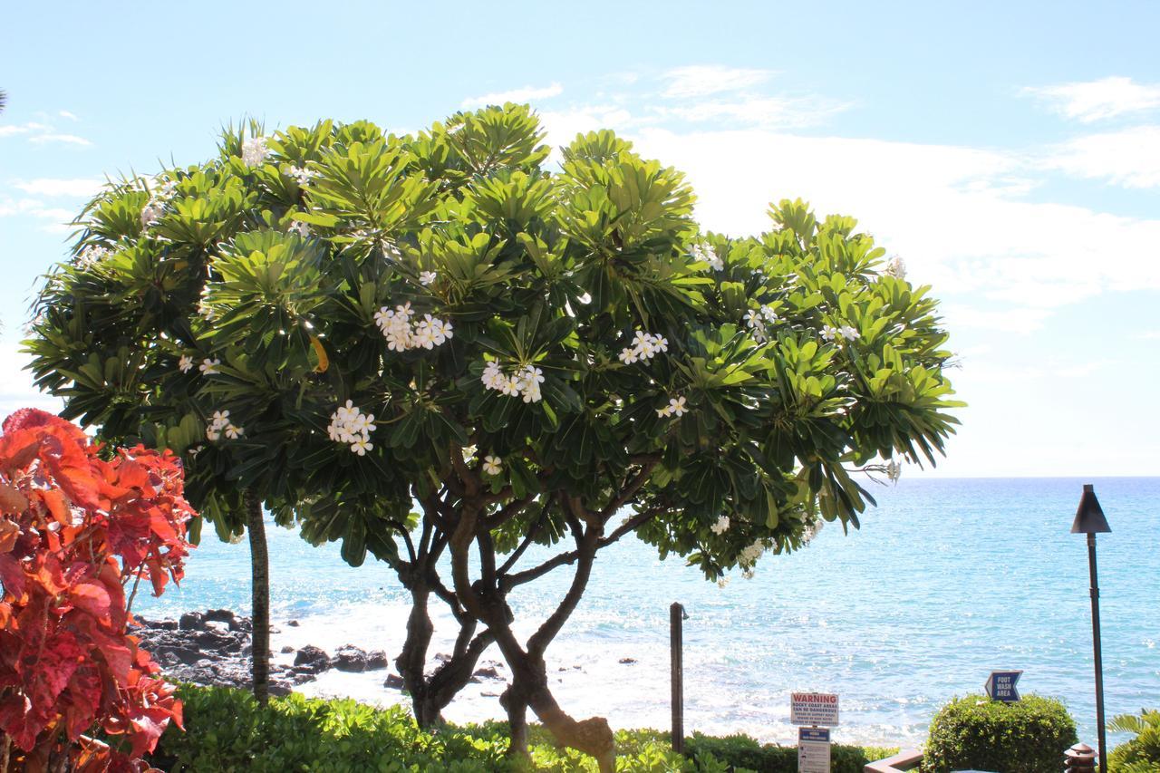 Kuleana Resort 618 Lāhainā Exterior foto